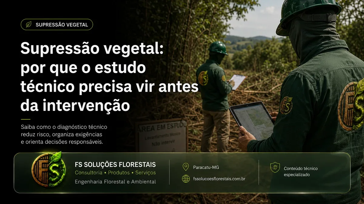 Supressão vegetal: por que o estudo técnico precisa vir antes da intervenção